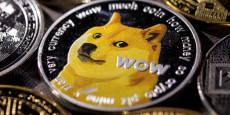 tesla va accepter le dogecoin comme moyen de paiement dit elon musk 20220126103215 tesla va accepter le dogecoin comme moyen de paiement dit elon musk 20220126103215