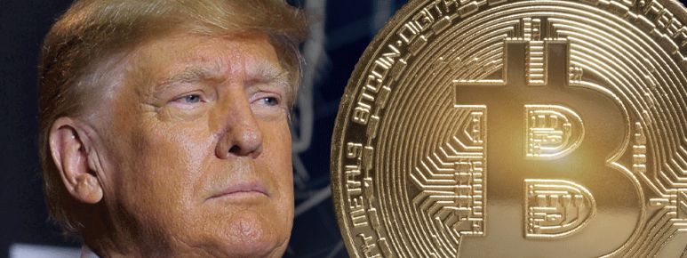 trumpcbbitcoin31