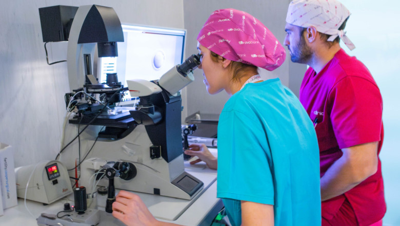 12022025 img 1257 20250608093548 