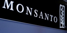 bayer-compte-boucler-le-rachat-de-monsanto-jeudi bayer-compte-boucler-le-rachat-de-monsanto-jeudi