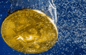 bitcoincrash2 bitcoincrash2