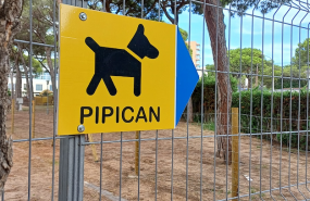 captura de pantalla 2023 09 15 a les 200146 captura de pantalla 2023 09 15 a les 200146