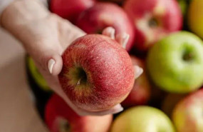 captura de pantalla 2026 02 05 105859