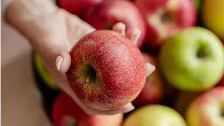 captura de pantalla 2026 02 05 105859