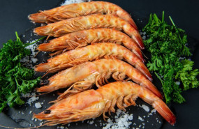 comprar marisco en sevilla mariscos del rey
