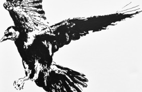 cuervo volando oleo sobre lienzo 50 x 50 cm 1 cuervo volando oleo sobre lienzo 50 x 50 cm 1