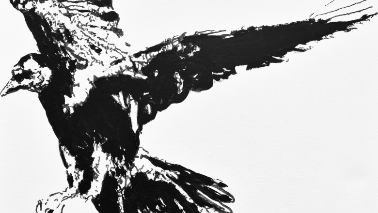 cuervo volando oleo sobre lienzo 50 x 50 cm 1 