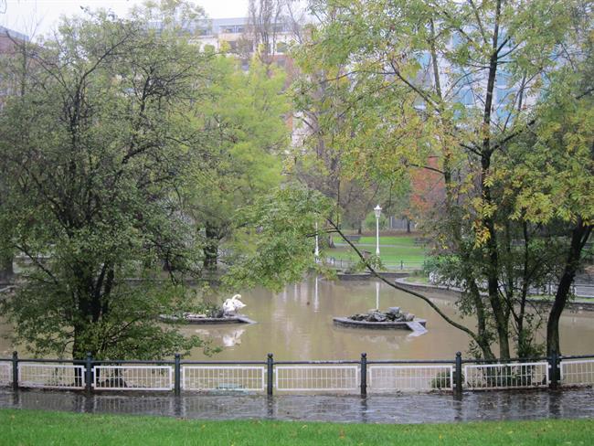 Arboles en Bilbao | EUROPA PRESS - Archivo ep arbolesbilbao