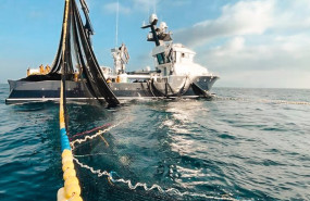 ep archivo   balfego inicia este jueves la campana anual de pesca de atun rojo