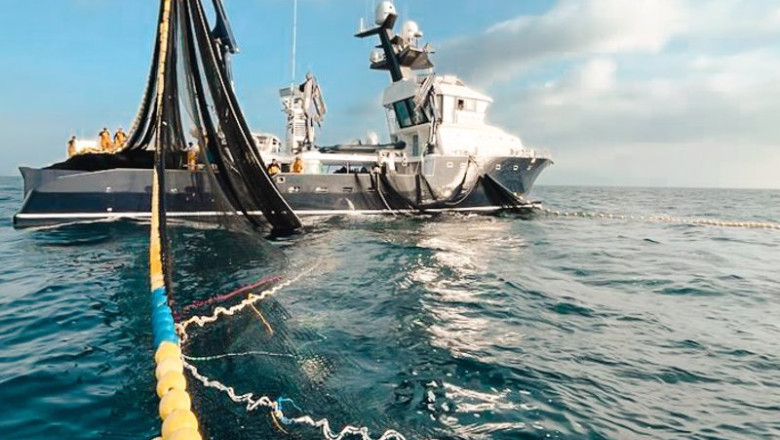 ep archivo balfego inicia este jueves la campana anual de pesca de atun rojo ep archivo balfego inicia este jueves la campana anual de pesca de atun rojo