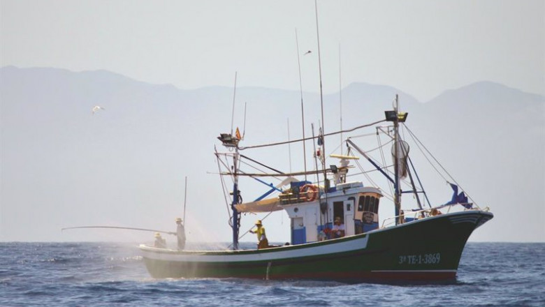 Barco de pesca | CABILDO DE TENERIFE ep barco de pesca