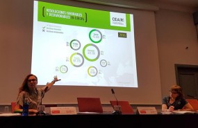 ep cear estrella galan