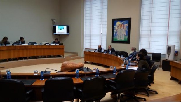 ep comisionincendiosdirectorciflourizan