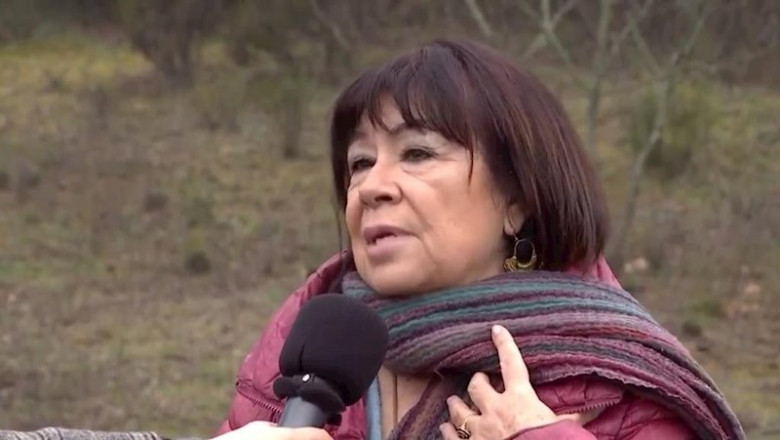 La presidenta del PSOE, Cristina Narbona, en declaraciones a los medios en Valdemorillo (Madrid) | PSOE ep la presidenta del psoe cristina narbona en declaraciones a los medios en valdemorillo madrid