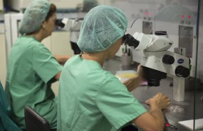 ep laboratorio 20170825125809