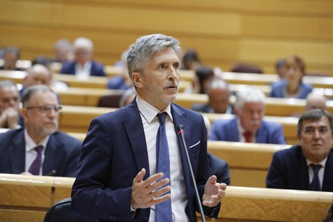 El ministro del Interior, Fernando Grande-Marlaska, en el Senado | MARTA JARA/EUROPA PRESS ep ministrointerior fernando grande-marlaska ensenado