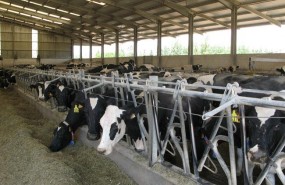 ep produccionleche