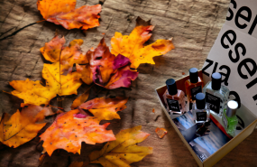 ndp 20231004194050 ndp 20231004194050