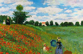 1238683 campo de amapolas