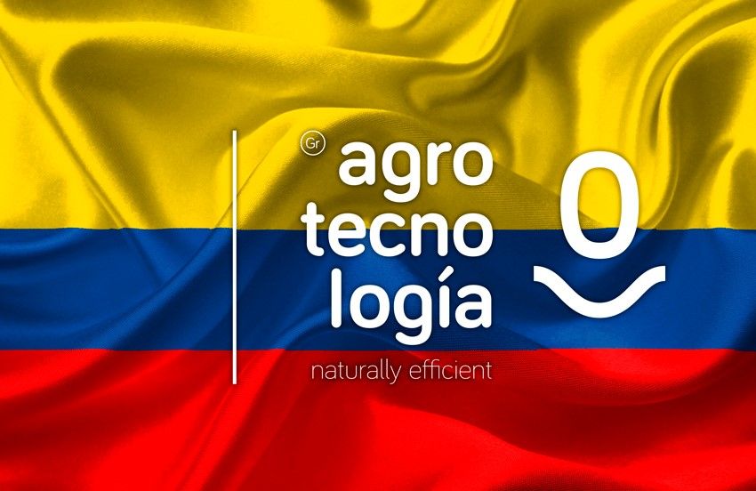 1565621519 imagen colombia 1565621519 imagen colombia