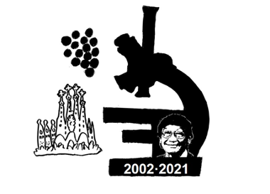 1626967366 captura de pantalla 2021 07 22 a les 172117