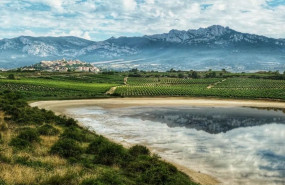 1657542784 1 premio laguardia 1657542784 1 premio laguardia