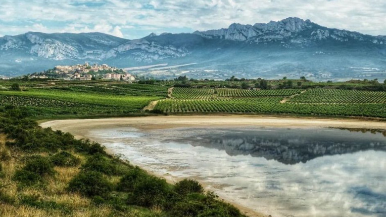 1657542784 1 premio laguardia