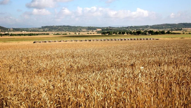 ep archivo   campo agricultor