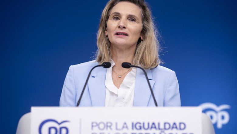 ep archivo la vicesecretaria de desarrollo sostenible del pp paloma martin ep archivo la vicesecretaria de desarrollo sostenible del pp paloma martin