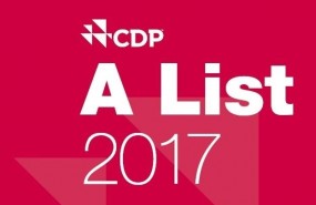 ep cdp 2017