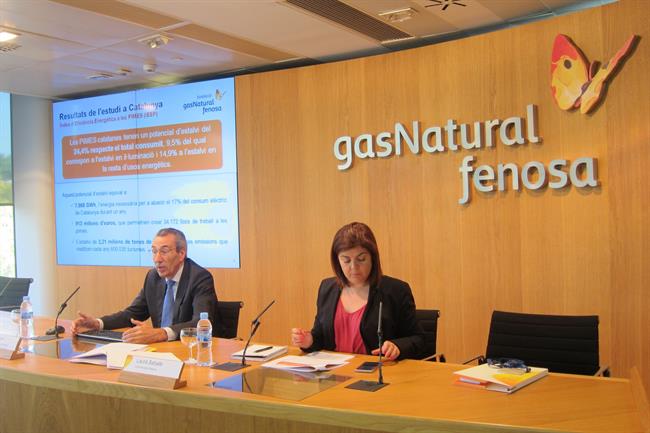 ep marti sol director generalla fundacio gas natural fenosa
