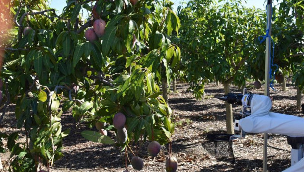 ep piloto en la sociedad agraria de transformacion trops de velez-malaga