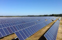 ep planta de gransolar ep planta de gransolar
