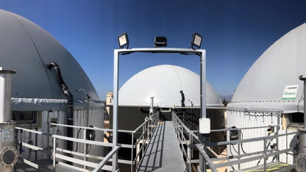 ep planta en el municipio de la galera tarragona