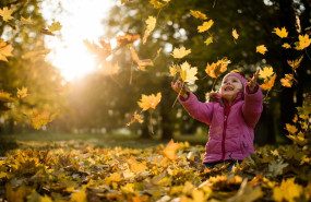 schneider electric cierra 2022 con excelentes resultados en su informe sustainability impact jpg