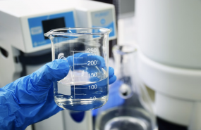 1653921624 quinton 1653921624 quinton