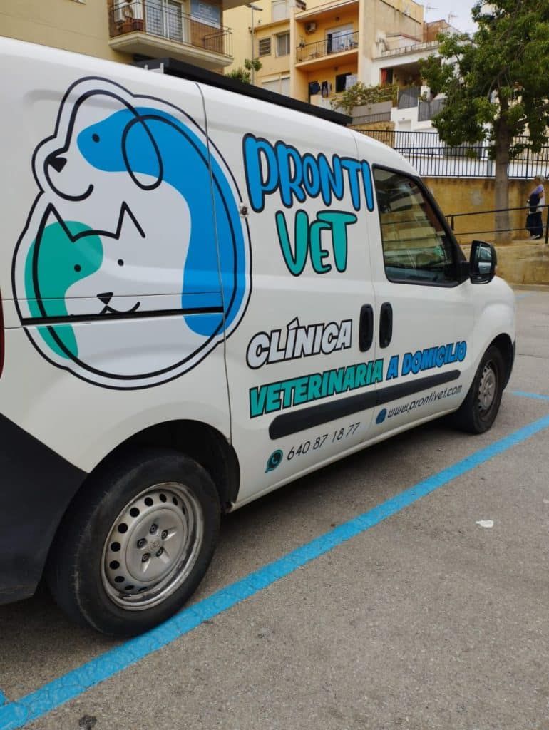 ambulancia veterinaria a domicilio traslados