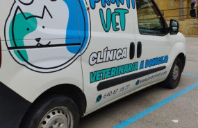 ambulancia veterinaria a domicilio traslados
