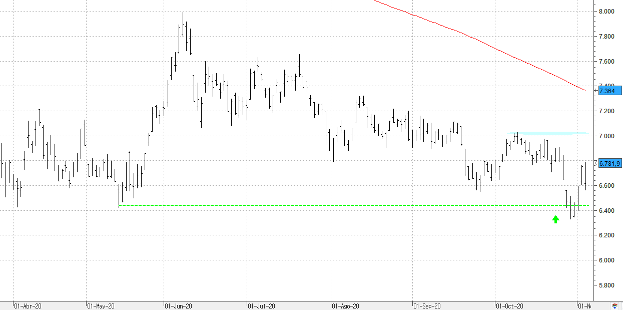 c041120ibex