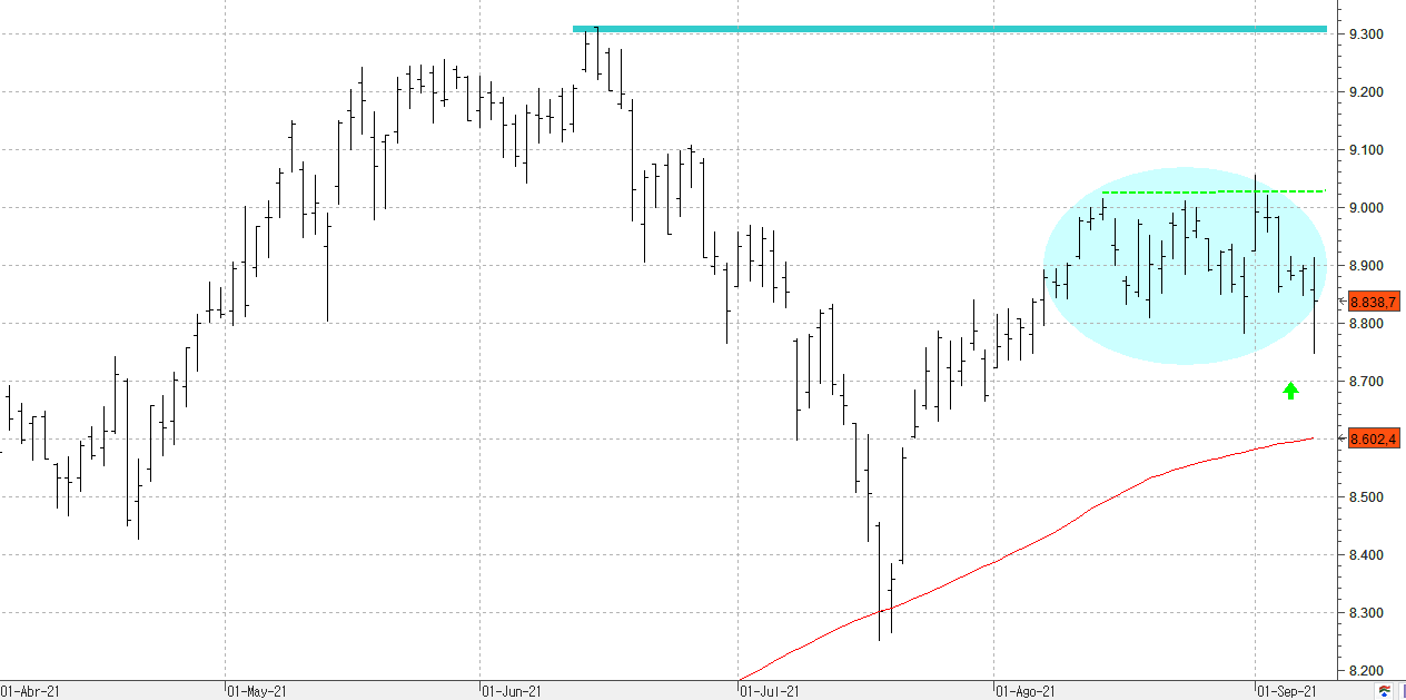 c080921ibex