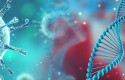 cbvirus mutado w111 cbvirus mutado w111