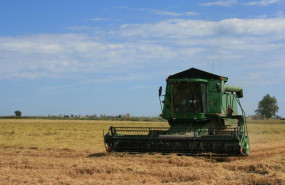 ep archivo   siega del arroz 20260715180503