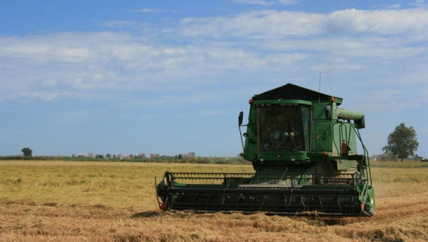 ep archivo   siega del arroz 20260715180503