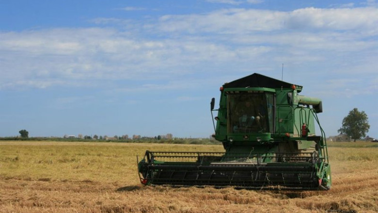 ep archivo siega del arroz 20260715180503 ep archivo siega del arroz 20260715180503