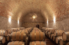 ep archivo   vega sicilia celebra el 40 aniversario de la compra de la bodega por la familia alvarez