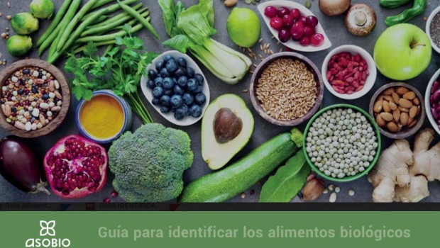 ep asobio lanza una guia para ayudar a los consumidores a identificar los alimentos ecologicos