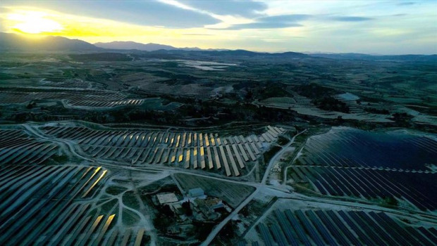 ep plantas de esasolar