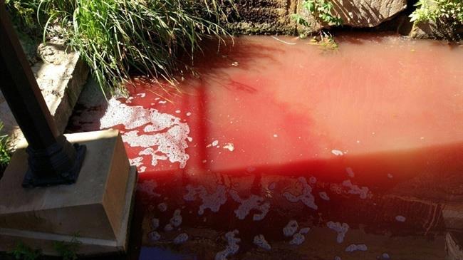 Vertido en el Duero a su paso por Soria | ASDEN ep vertidoduero apasosoria