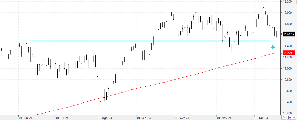 q181224ibex