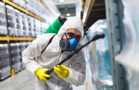 1618821538 control de plagas leu